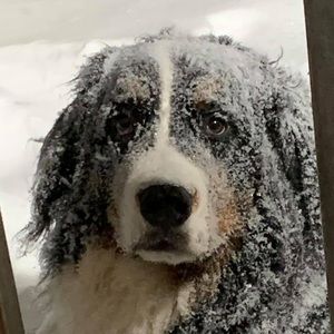 Meet your Posher, Wanda